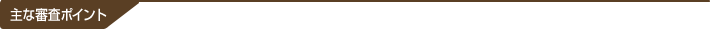 主な審査ポイント